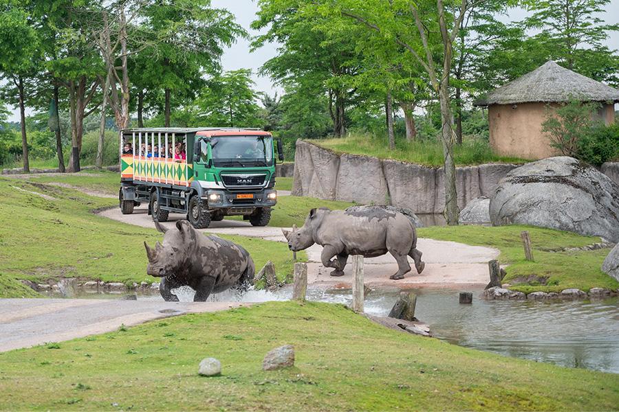 WILDLANDS Adventure Zoo Emmen