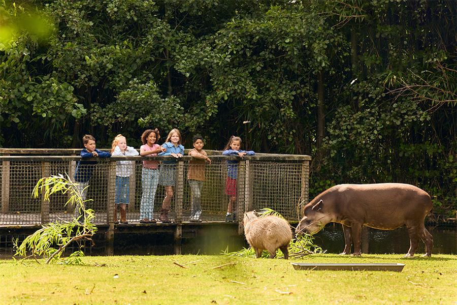 Groep kinderen in de dierentuin