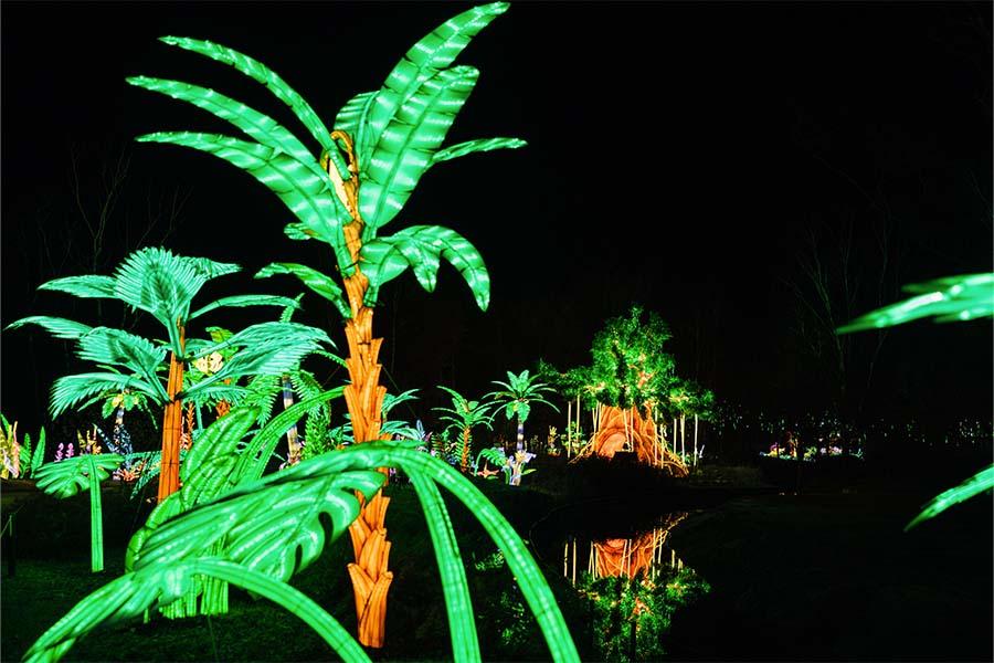 palm light safari beekse bergen